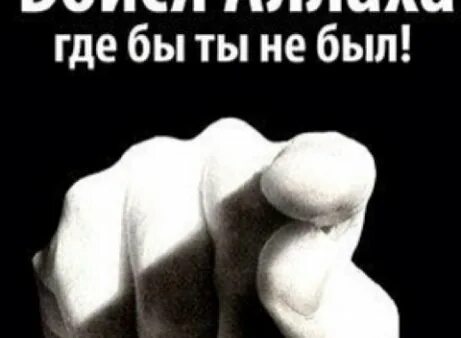 Бойтесь всевышнего. Бойся Аллаха. Бойся только Аллаха. Боюсь только Аллаха. Побойся Аллаха.