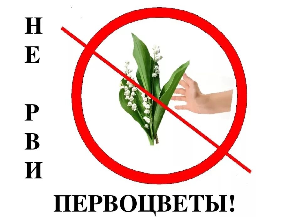 Не рви цветы завянут цветы слушать. Нельзя рвать первоцветы. знак нельзя срывать цветы. знак не срывать редкие растения. знак запрещающий рвать цветы.