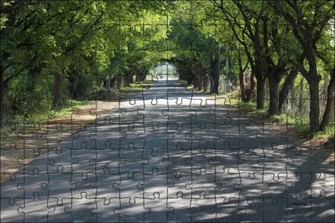 Туры в вилладж роуд