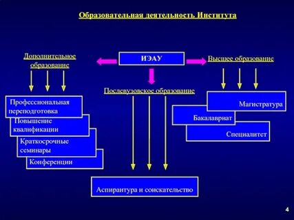 Деятельности института образования