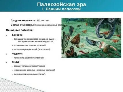 Ароморфозы палеозойской эры