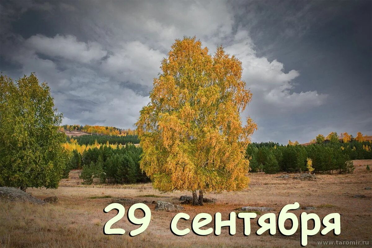 осенний фон для презентации. три народные приметы. осенние листья фон. чем сентябрь суше и теплее. чем сентябрь суше и теплее.