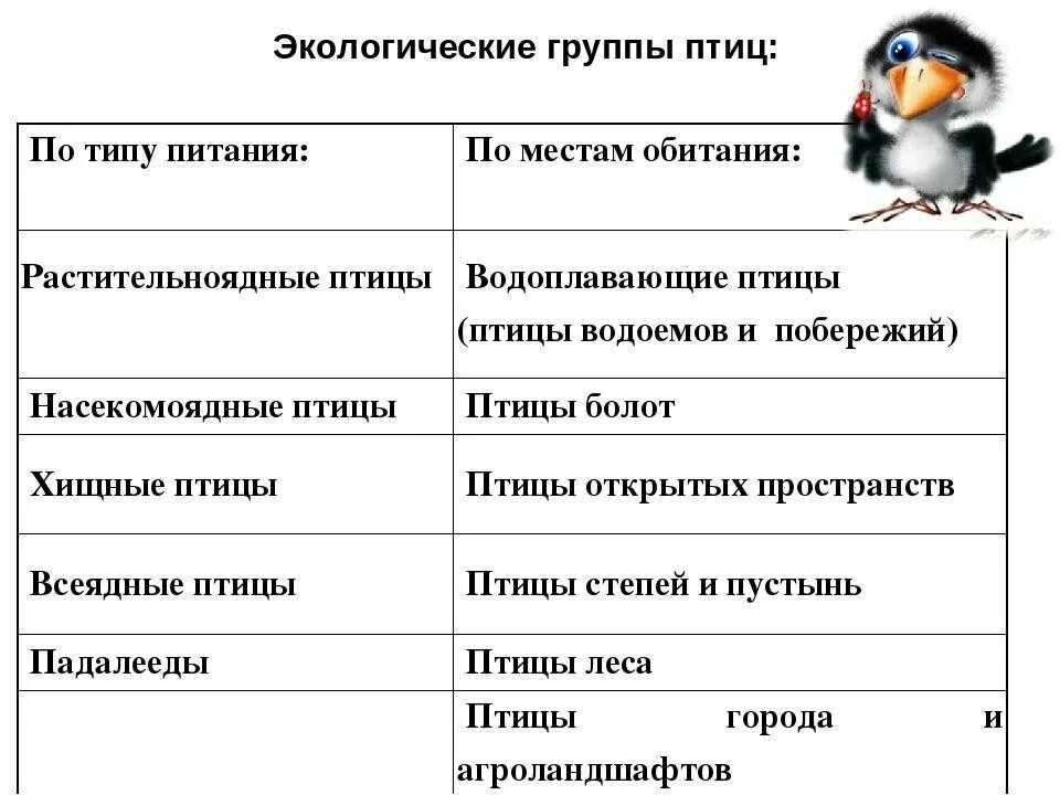 Группа животных птицы примеры Картинки ПРИЗНАК ПТИЦ ОТ МЛЕКОПИТАЮЩИХ УКАЖИТЕ КОТОРЫЙ