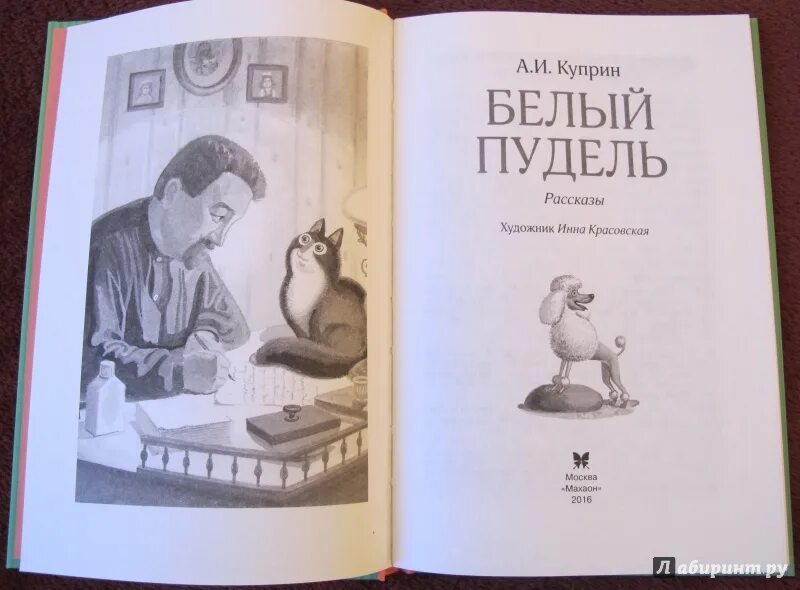 Четверо нищих куприн 4 класс. Белый пудель экранизация Куприн 1955. Иллюстрации к белому пуделю Куприна. Книга белый пудель (Куприн а.).