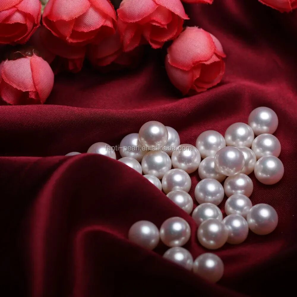 Морская жемчужница моллюск. Раковина жемчужницы. Жемчуг в ракушке. Красивый жемчуг. Красивый жемчуг.