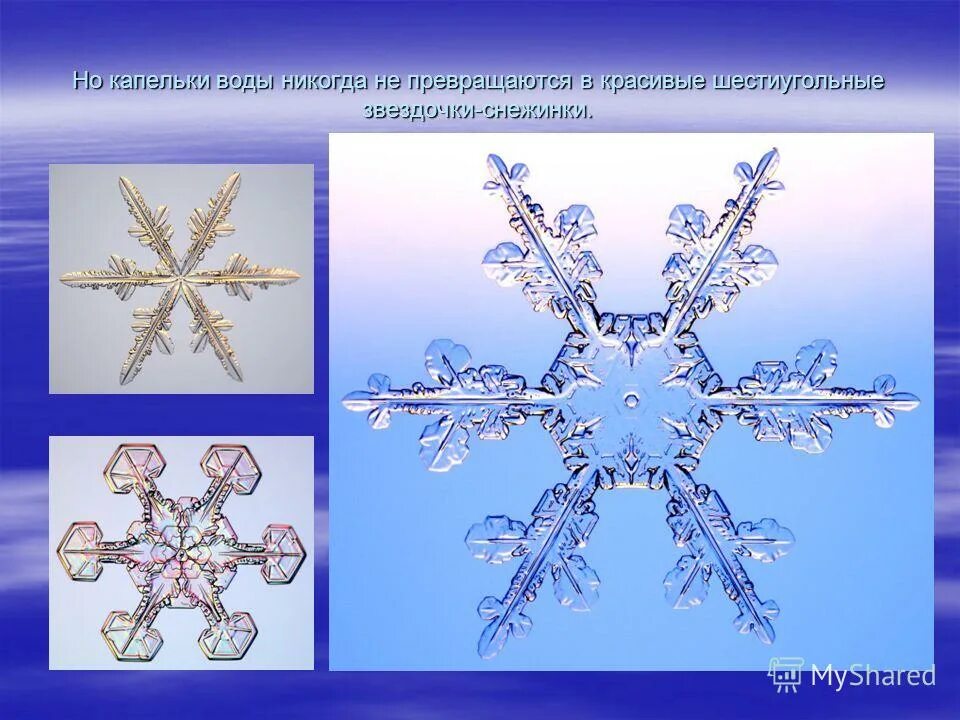 Снежинки для детей. Снежинки окружающий мир. Снежинки окружающий мир. Снежинки окружающий мир. Тема для презентации снежинки.
