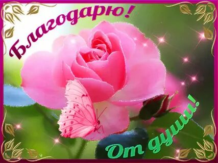 Благодарственные открытки (66 фото) .