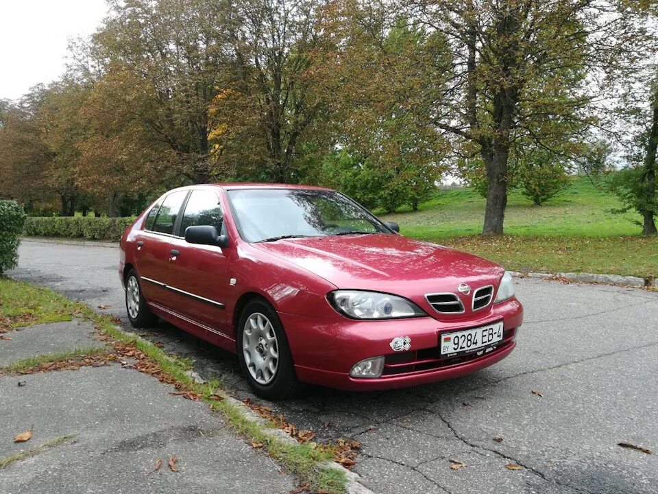 Primera p11 рестайлинг. Nissan primera hatchback. Primera p10 hatchback. Примера ред. Ниссан п12.