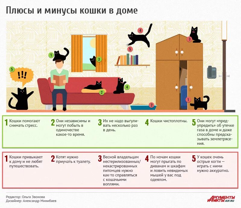 Плюсы кота в квартире. Плюсы и минусы кошки в доме. Кошка в доме плюсы. Минусы кошки в квартире.