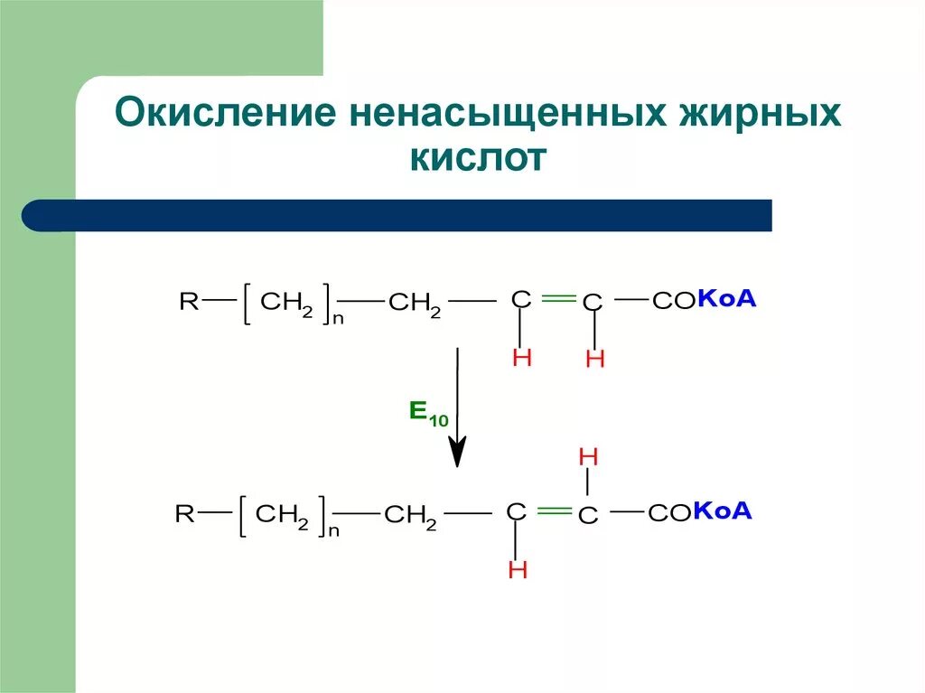 Окислением называется. Бета окисление ненасыщенных жирных кислот. B окисление ненасыщенных жирных кислот. Схема бета окисления ненасыщенных жирных кислот. Окисление насыщенных жиров.