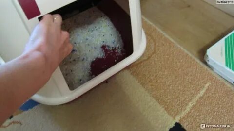 Часто хожу в туалет с кровью