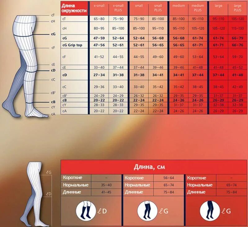 Как подобрать чулки для операции. Чулки компрессионные Сигварис 2 класс компрессии таблица размеров. Компрессионные колготки 2 степени компрессии sigvaris. Чулки компрессионные 2 класс Сигварис таблица размеров. Сигварис компрессионный трикотаж Размерная сетка.