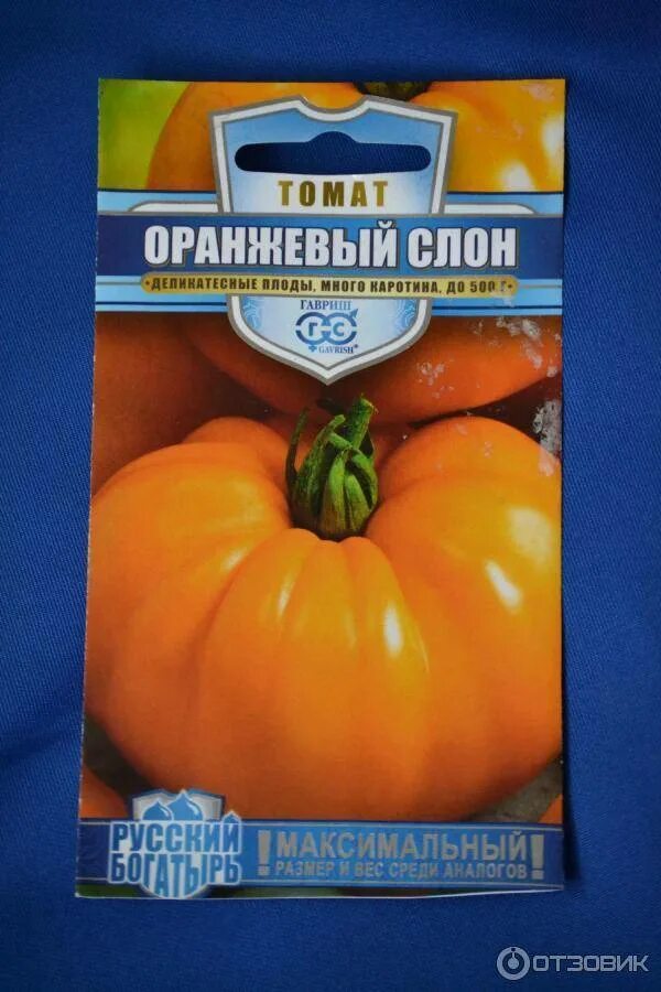 Гавриш томат оранжевый слон. Сорт томата оранжевый слон. Томат сорт оранжевый слон Гавриш. Семена томата оранжевый слон. Оранжевый слон характеристика