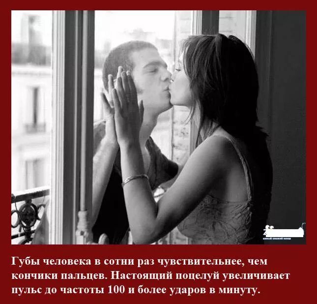 Надо было целую есть