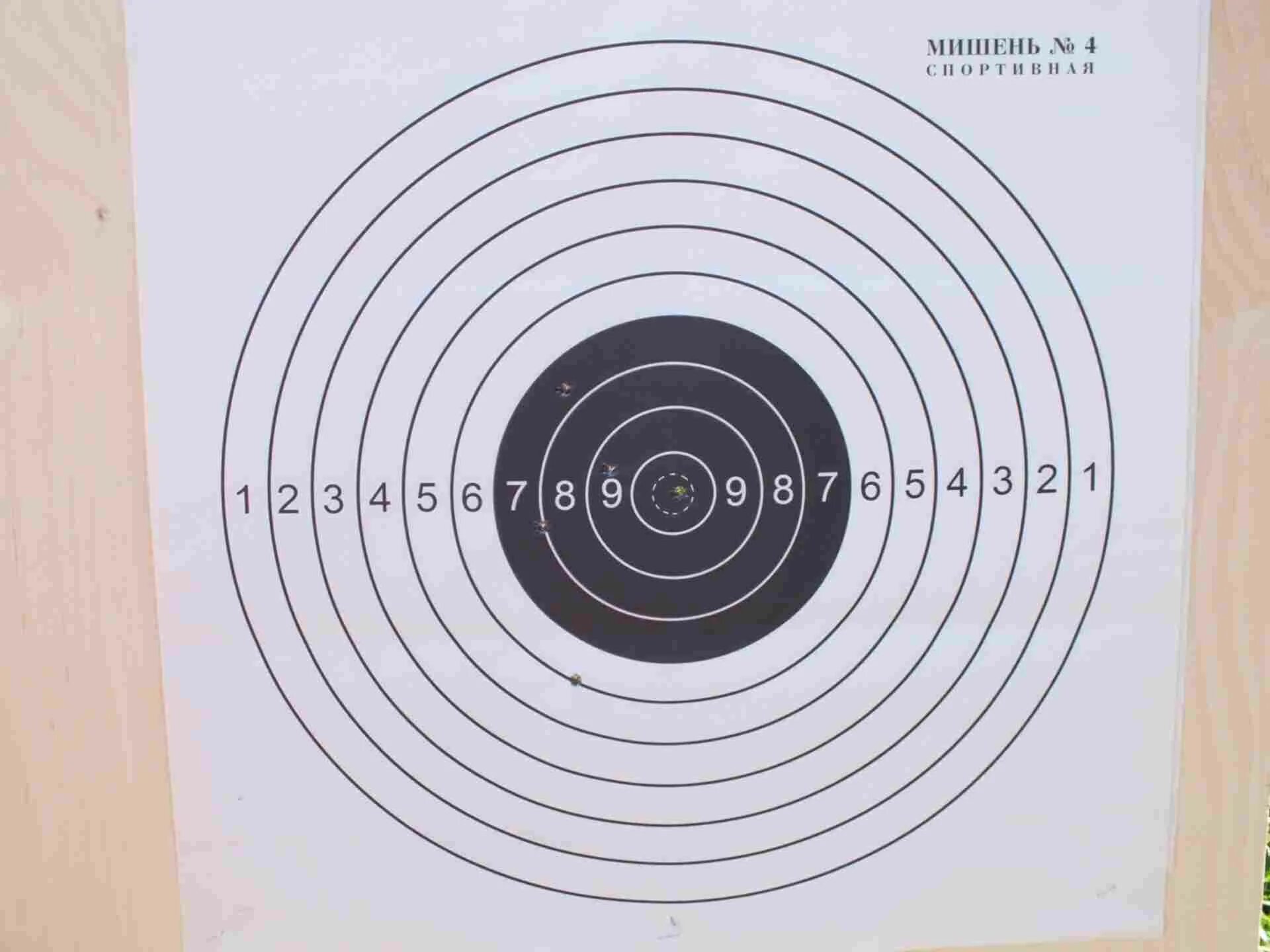 Тир круг. Мишень для мелкокалиберной винтовки 50 метров. Мишень №4 спортивная. Мишень номер 4 спортивная. Грудная мишень №6.
