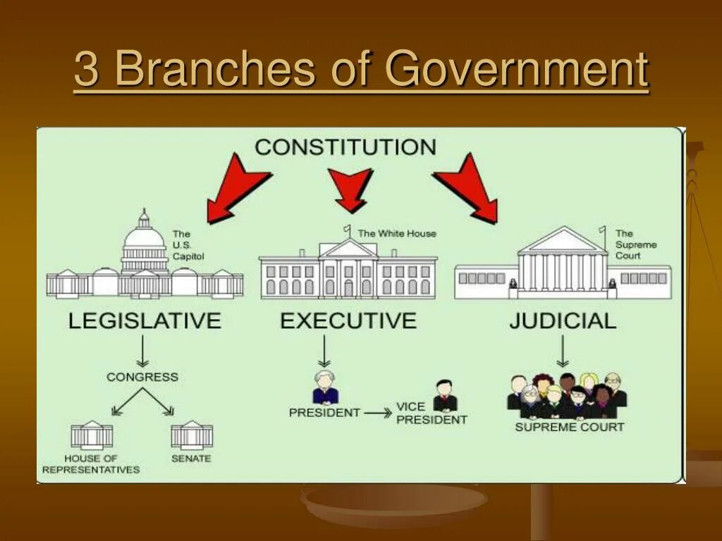 The government try to reduce. Government грамматика. the executive branch of the government доклад. government картинка. state system of the usa legislative branch.