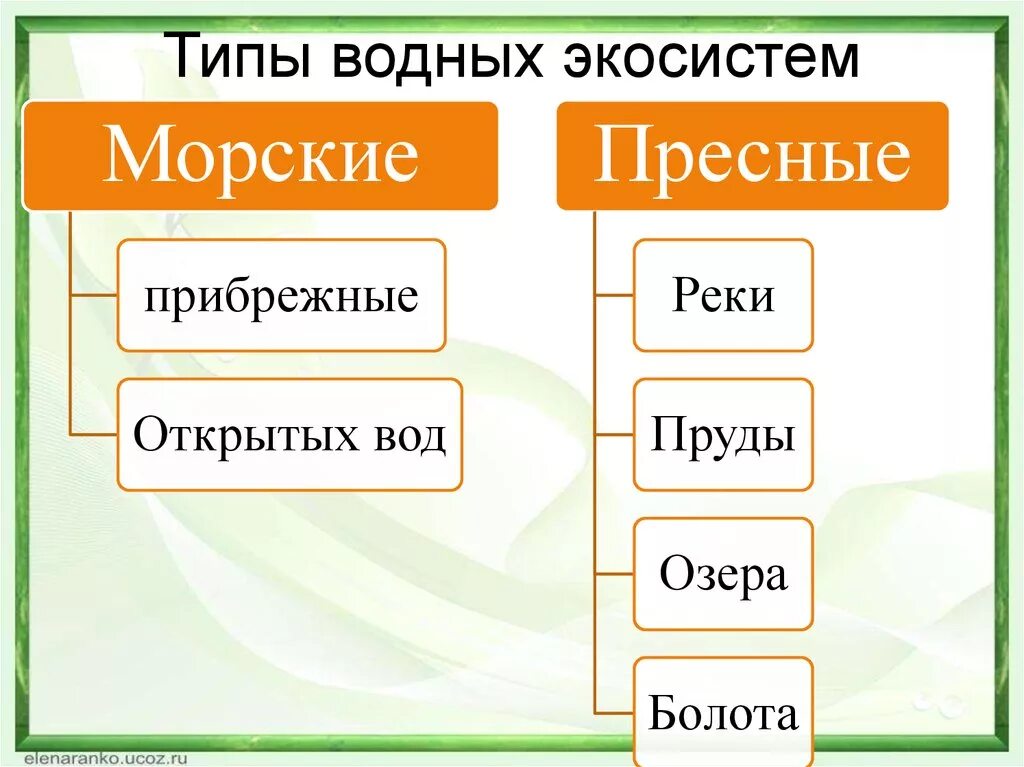 Разнообразие экологических систем. Типы водных экосистем. Типы водных биогеоценозов. Основные типы водных экосистем. Водный биогеоценоз виды.