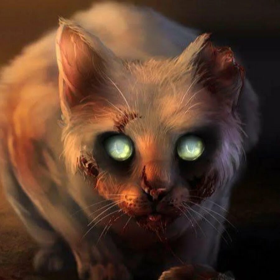 Кладбище домашних животных 1989 черч. Котик страшилки. Чудовище с зелеными глазами. Котик страшилки. Котик страшилки.