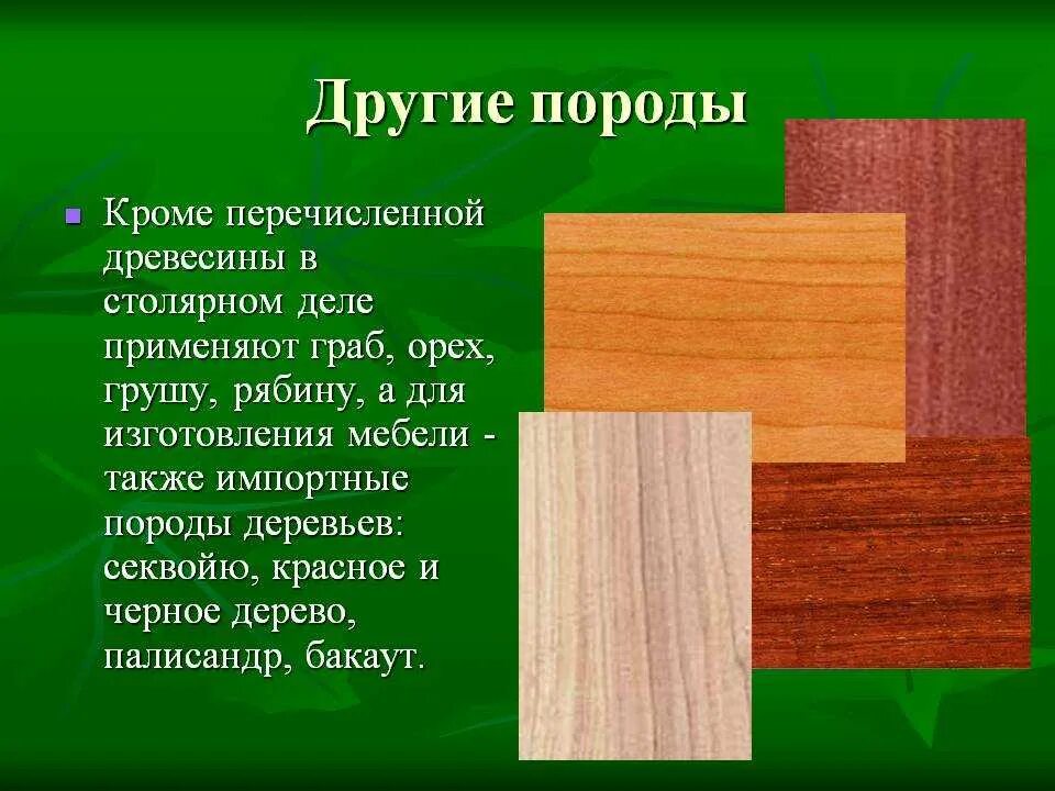 Дерево используют для изготовления. Породы древесины. Древесные породы. Порода дерева граб. Недостатки древесины.