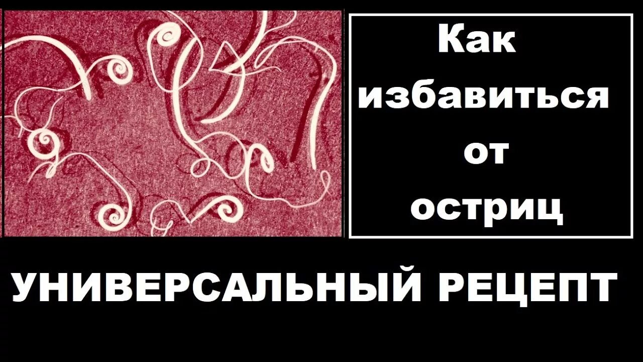 Как эффективно избавиться от остриц. Черви гельминты симптомы. Как избавиться от остриц. Глисты острицы симптомы. Острица детская enterobius vermicularis.