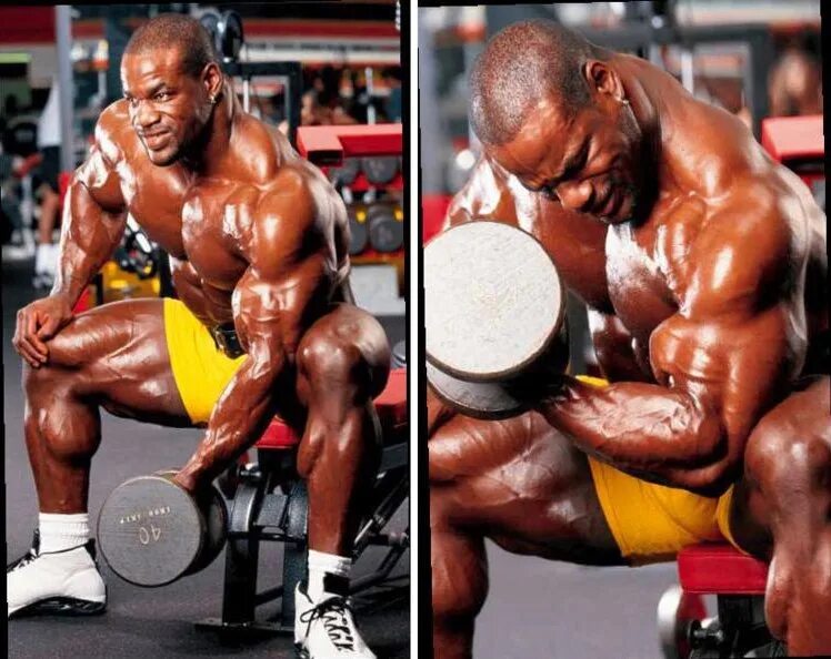 Тренер рацкевичюс. Покажи видео как качают. Упражнения на спину. Концентрированные подъёмы на бицепс гантелей техника. Отжимания.