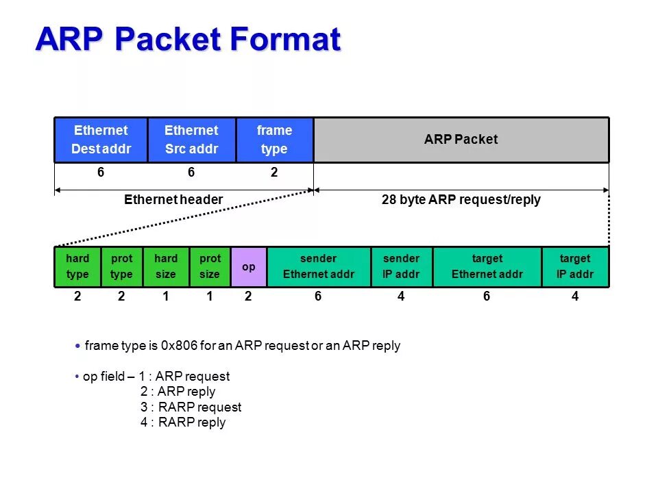 Формат кадра ethernet. Структура пакета ethernet ip tcp. структура arp пакета. формат пакета arp. фрейм ip пакета tcp/ip.