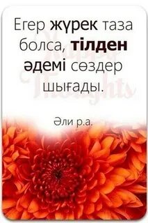 Люба махаббат туралы порно видео