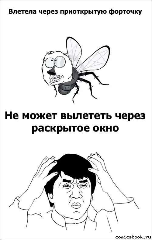 Мемы про насекомых. Насик мемы. Смешные мемы про насекомых. Комиксы про насекомых.
