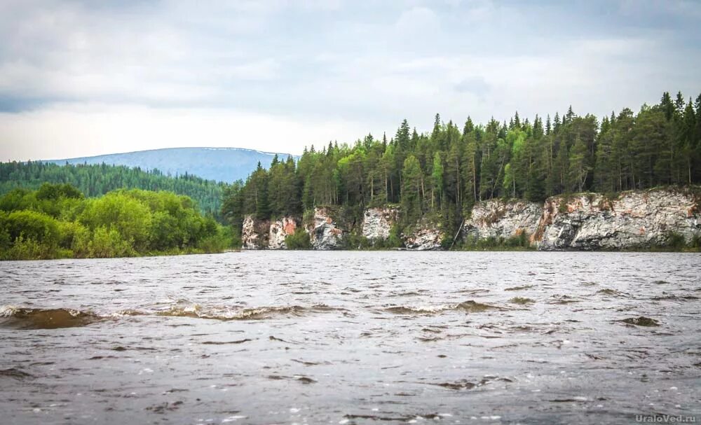 Золотанка пермский край. Золотанка пермский. Улс (река). Золотанка пермский. Что разрушант родированную поверхность белого золотанка.