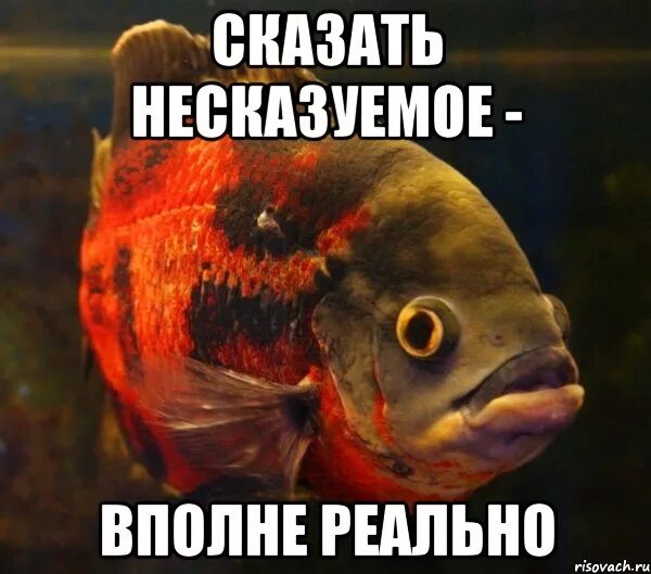 Мемы про гипотезу. Тейлор свифт мемы. Это вполне реально. Бесславные ублюдки альдо рейн. Это вполне реально.