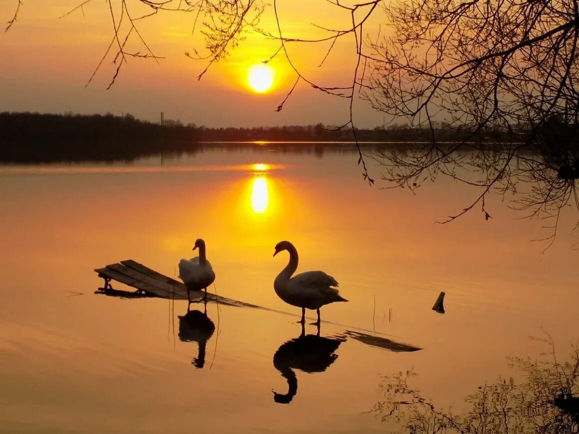 Добрый вечер закат. Закат на озере. Природа вечер. Красивого вечера. Спускается над озером закат.