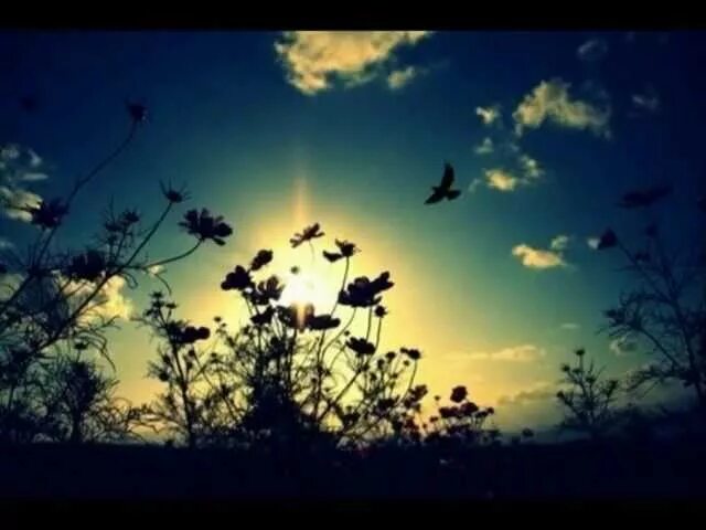 Origen dance of the clouds. Dance of the clouds игра. dance of the clouds. dance of the clouds origen группа photo.