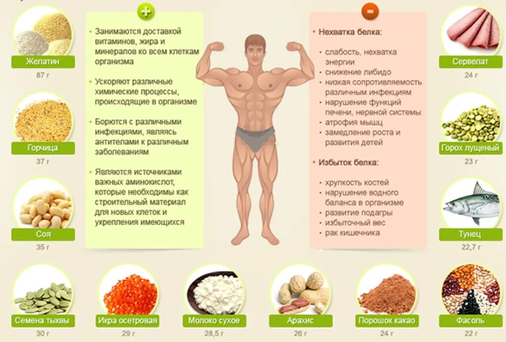Недостаток белка в организме. Недостаток белков в организме. Белок строительный материал для мышц. Продукты питания для мышц.