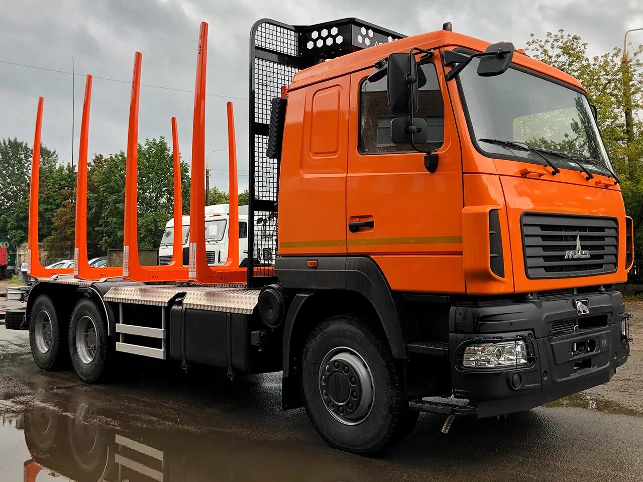 Маз 6317 сортиментовоз. Маз сортиментовоз 8x8. Сортиментовоз с vm10l86. Маз 6317 сортиментовоз. Маз 6317f9-565-000.