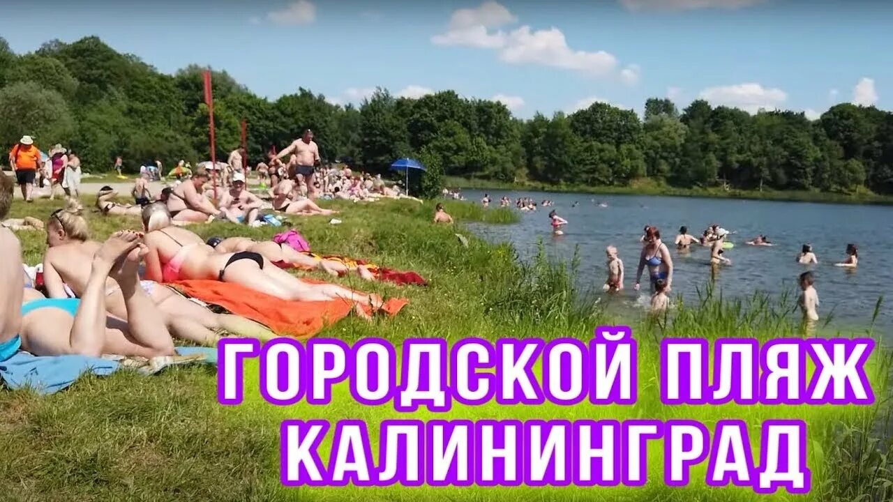 Где купаться в калининграде. Калининград пляж. Отпуск в Калининграде. Калининград места для купания. Купаться в Калининграде в июле.