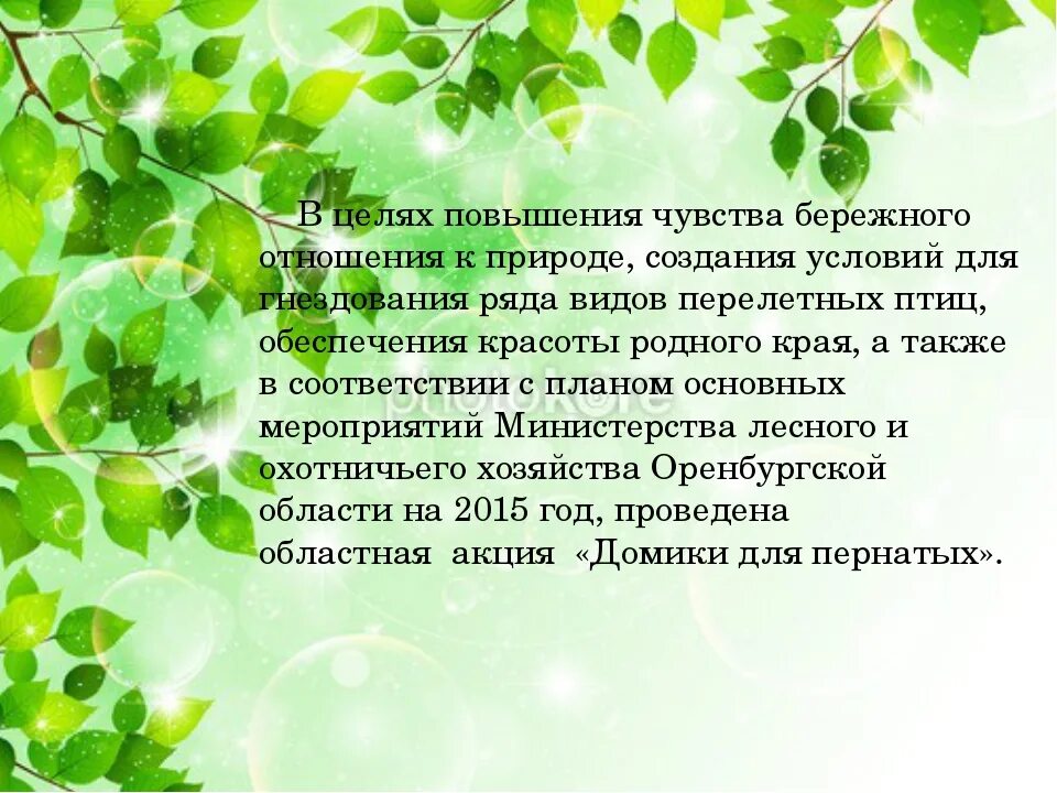 Бережное отношение к природе презентация. Бережное отношение к природе сочинение. Отношение к природе сочинение. Проект бережно отношение к природе. Написать о бережном отношении к природе