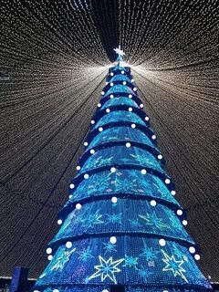 Крутая елка