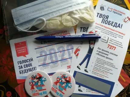 Розыгрыши на выборах 2024 кто голосует