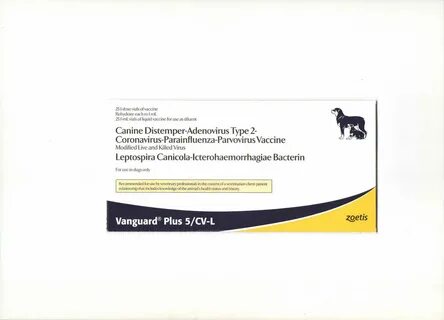 Вангард cv