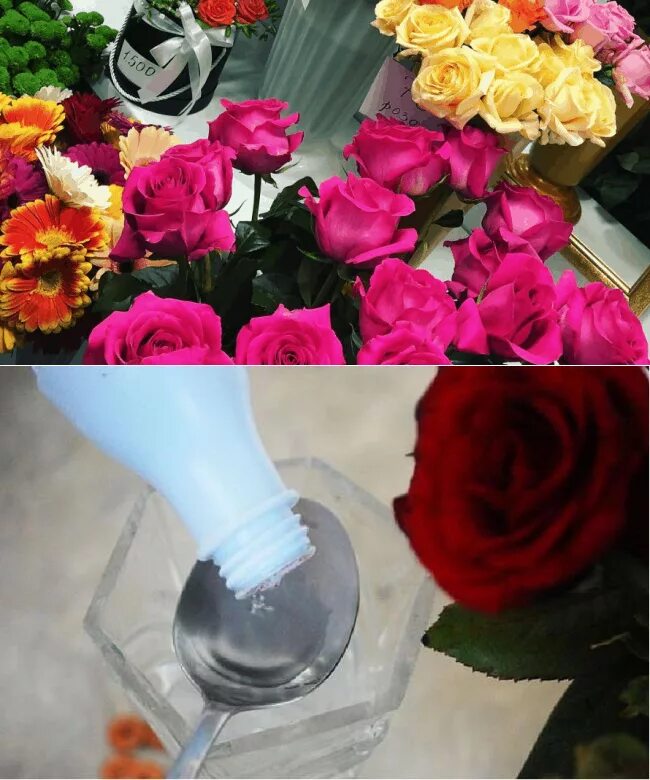 Розы быстро вянут в вазе. Срезанные розы в вазе. Розы которые долго стоят в вазе. Чтобы розы дольше стояли в вазе. Сохранение срезанных роз в букете.