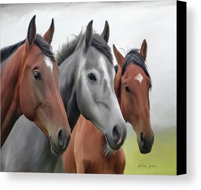4 horse