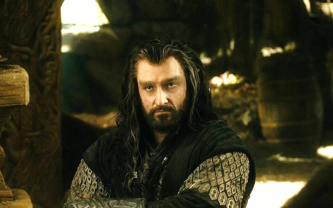 Король гномов торин дубощит. Торин дубощит хоббит. Дубощит властелин колец. Хоббит торин. Торин дубощит хоббит.