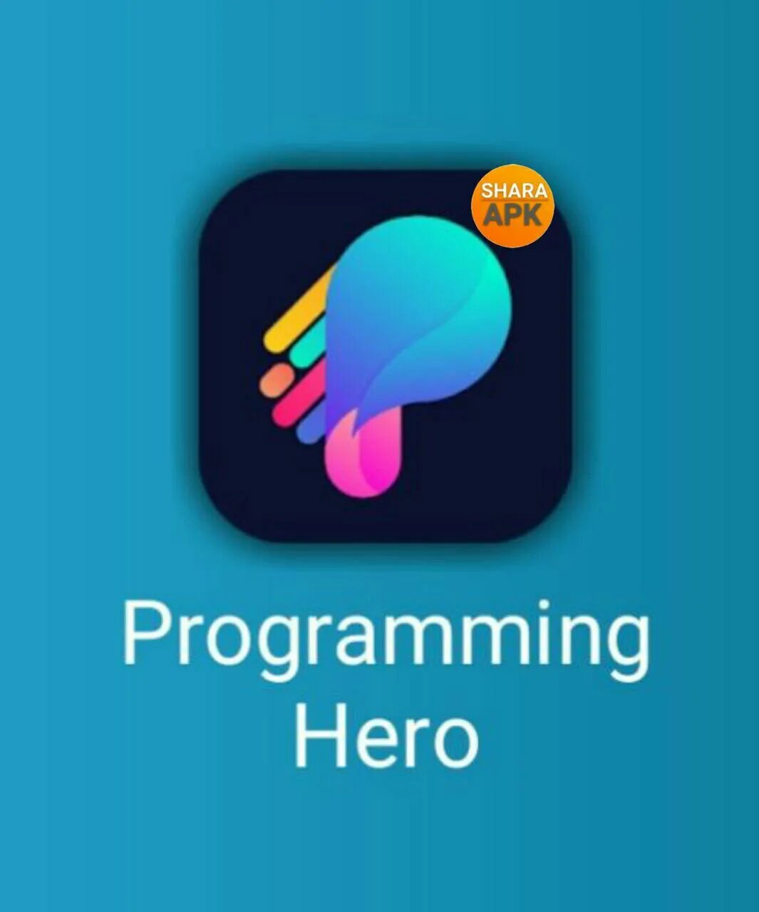 Programming hero. Programming hero