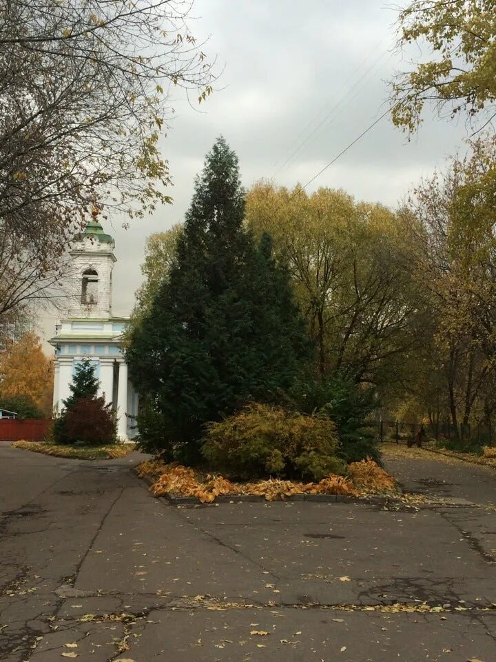 Сошествия духа лазаревском. Храм Сошествия Святого духа на Лазаревском. Храм на Лазаревском кладбище. Церковь Святого духа на Лазаревском кладбище. Лазаревское кладбище Марьина роща.