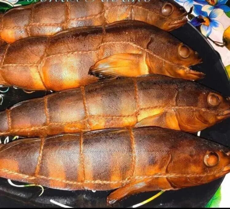 Коптильня терпуг. Терпуг горячего копчения. Терпуг горячего копчения. Терпуг в коптильне. Терпа горячего копчения.