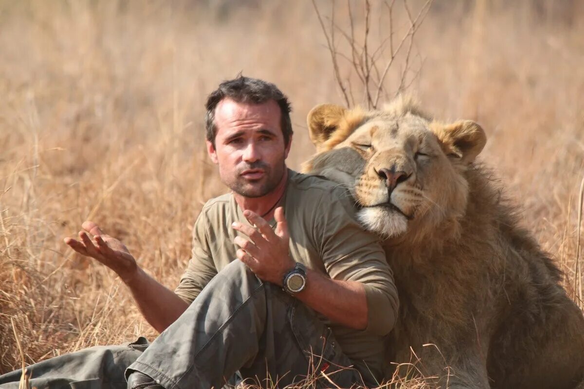 People and wildlife. Кевин Ричардсон Заклинатель Львов. Кевин Ричардсон Заклинатель зверей. Повелитель Львов Кевин Ричардсон. Кевин Ричардсон и львы.