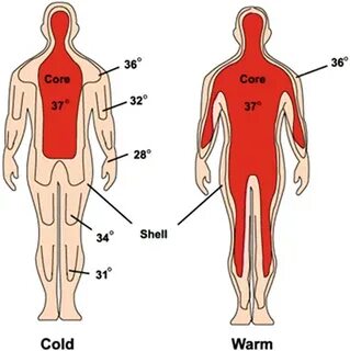 Human Body temprature