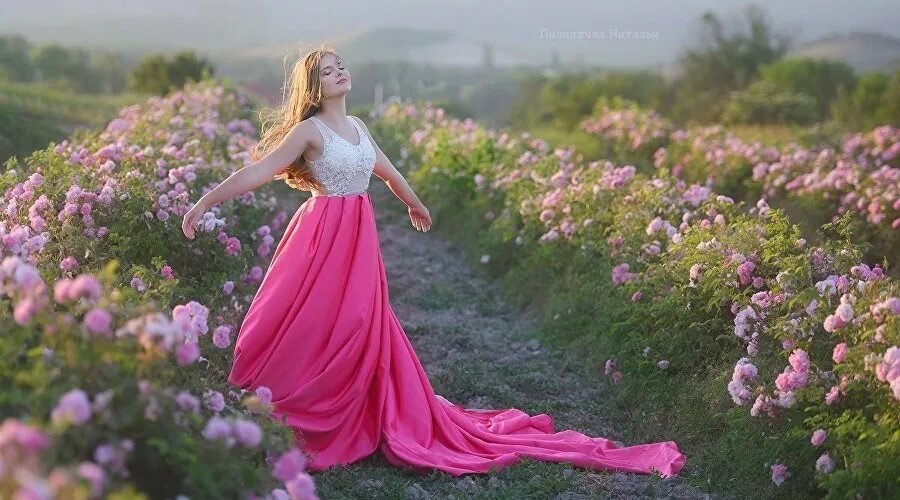 Где то крыму девушка в розовом. Фотограф севастополь. розовое поле. красивая девушка среди розовых цветов. японские девушки фото.