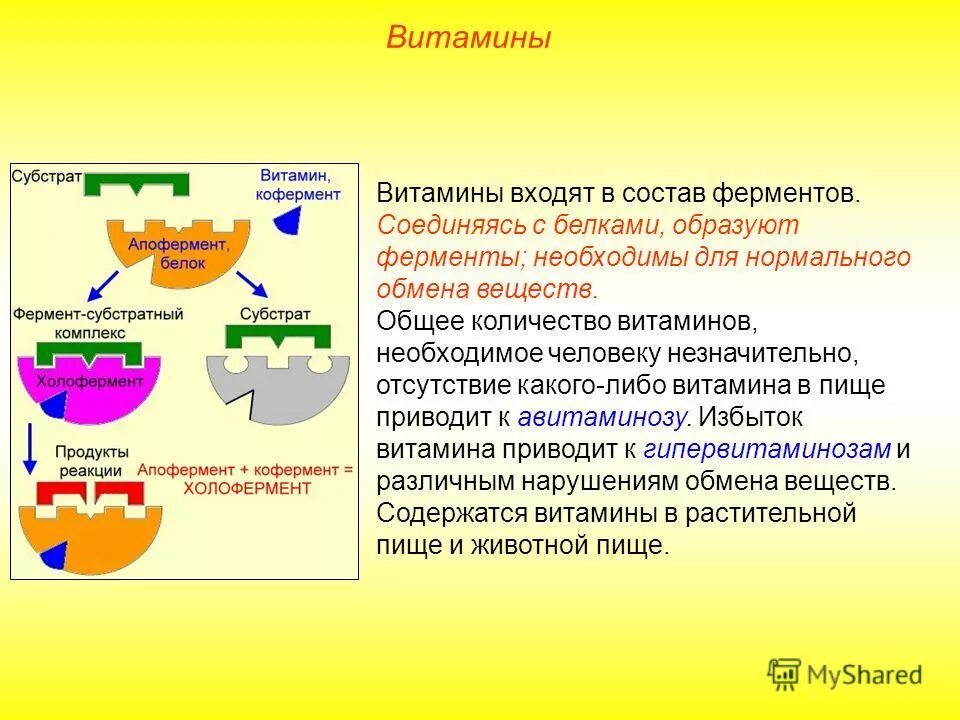 ферменты 8 класс презентация. ферменты необходимы для. мутагены днк. мутация клеток. фермент энзим.