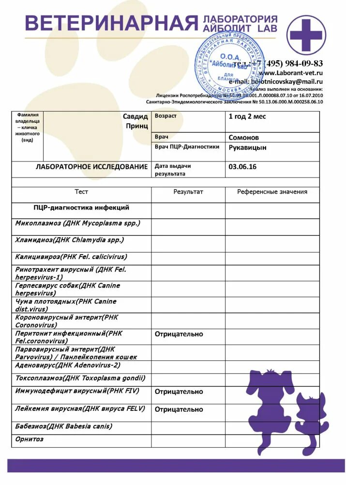 Ветеринар рецепты. Вирусный ринотрахеит кошек ПЦР. Ветеринарный рецепт. Анализ на панлейкопению кошек. Ветеринарная рецептура.